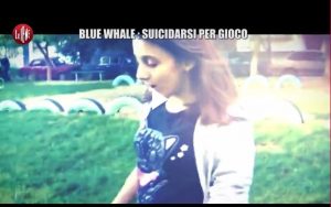 blu whale