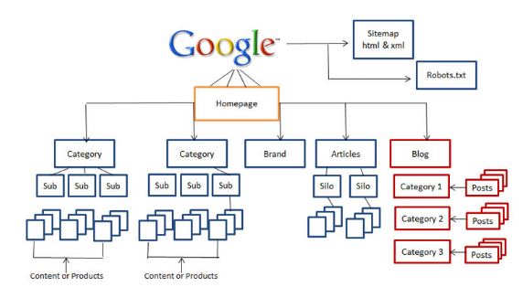 costruire un stio seo